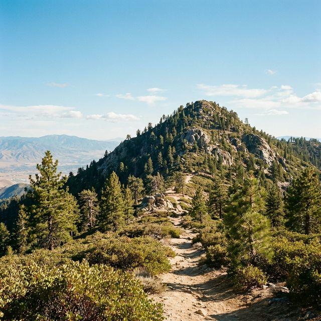 Drug rehab near Sugarloaf, CA