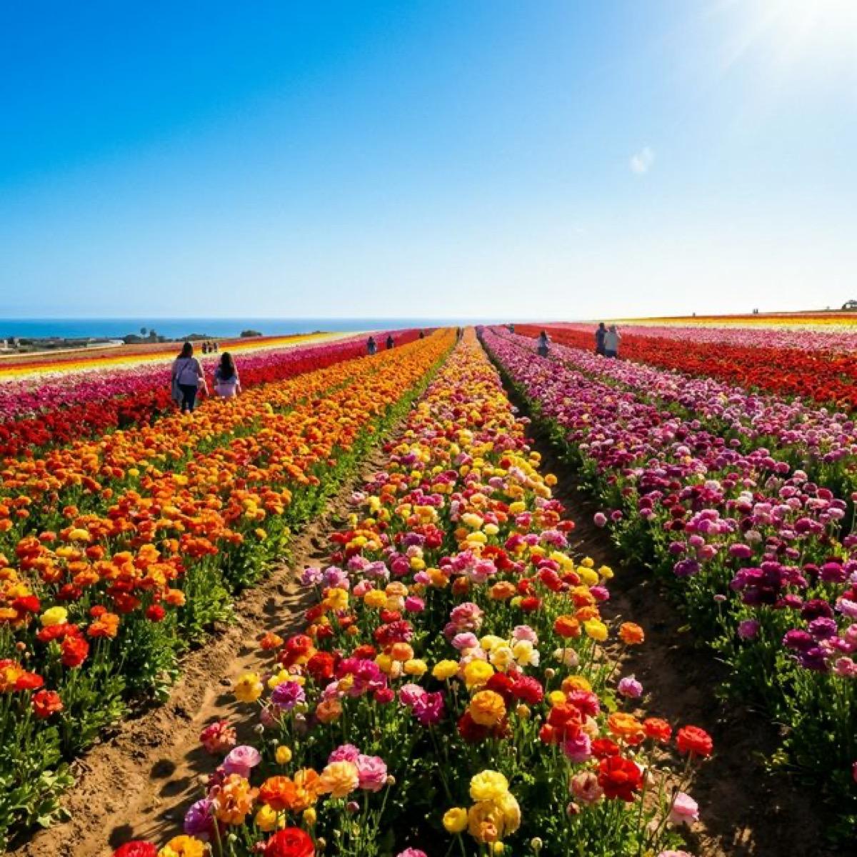 Drug rehab near Carlsbad, CA