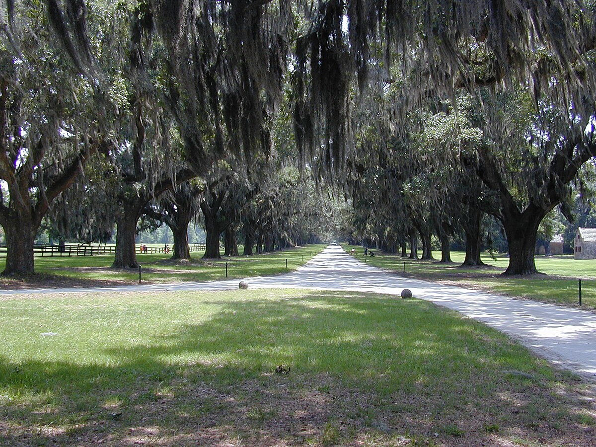 Drug rehab near Mount Pleasant, SC
